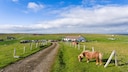 Foula