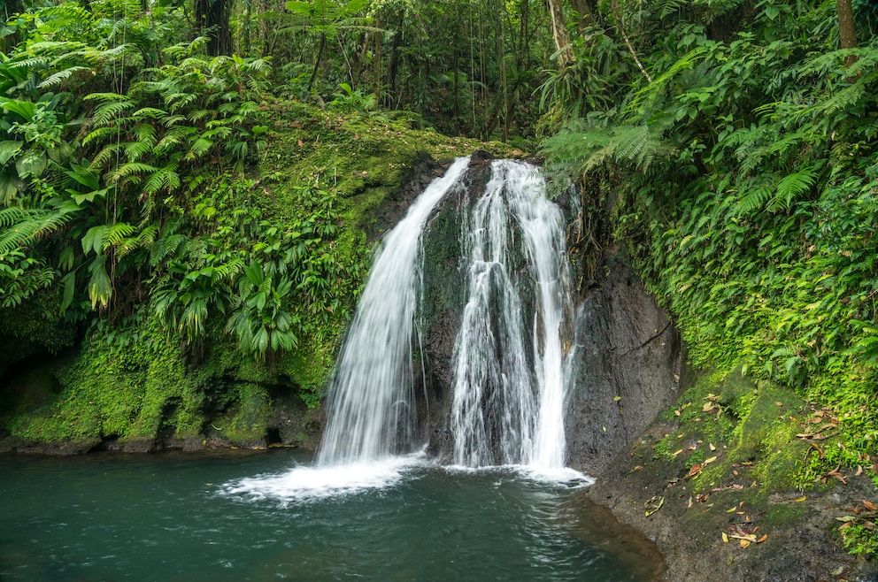 Der Wasserfall Cascade aux Ecrevisses