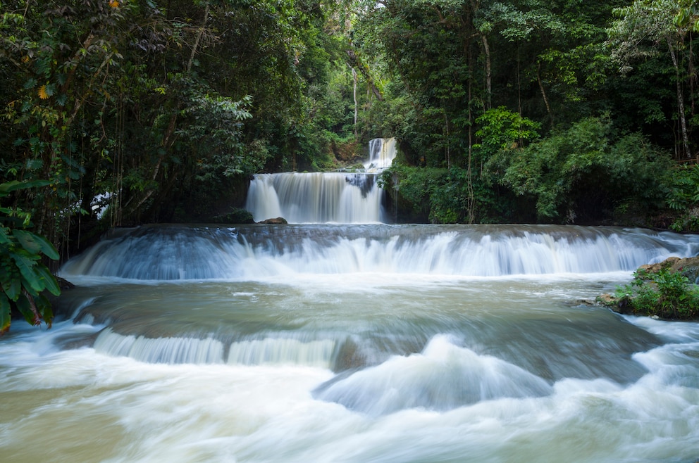 Die Y.S. Falls sind Stufen-Wasserfälle im westlichen Inland Jamaikas