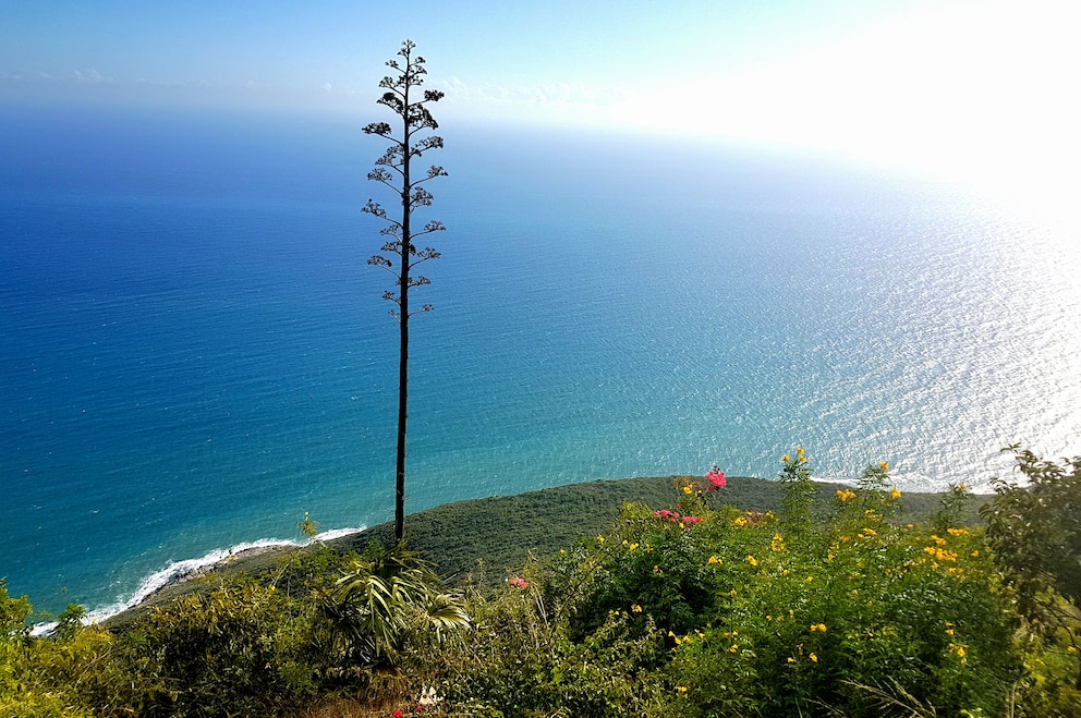 Lovers Leap in Jamaika