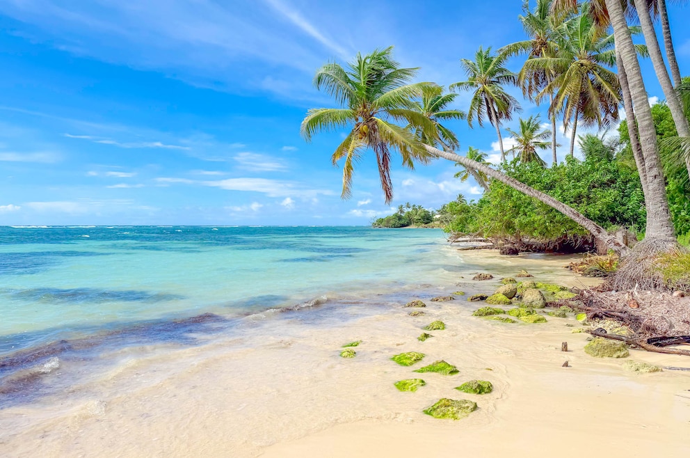 Die Insel Marie Galante in Guadeloupe