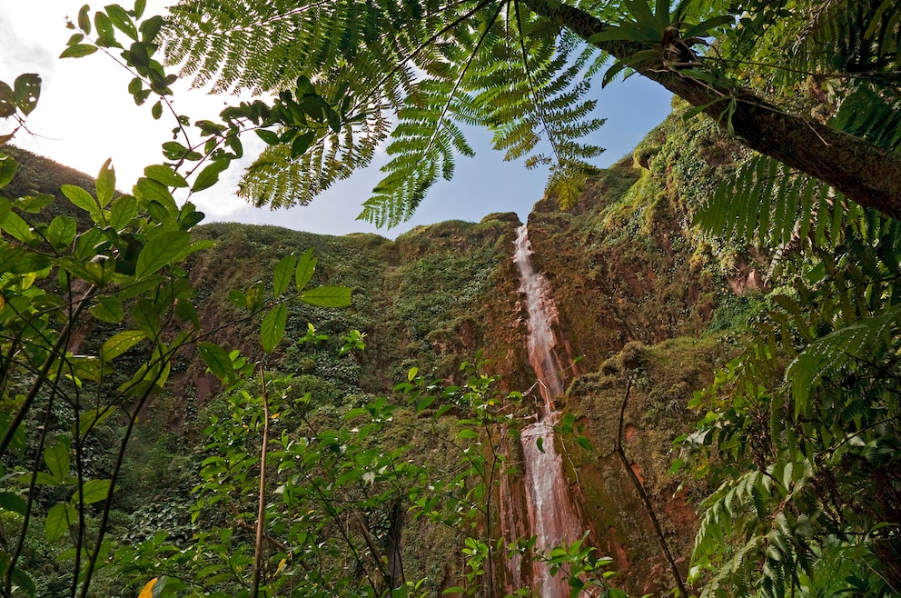 Wasserfälle Chutes du Carbet