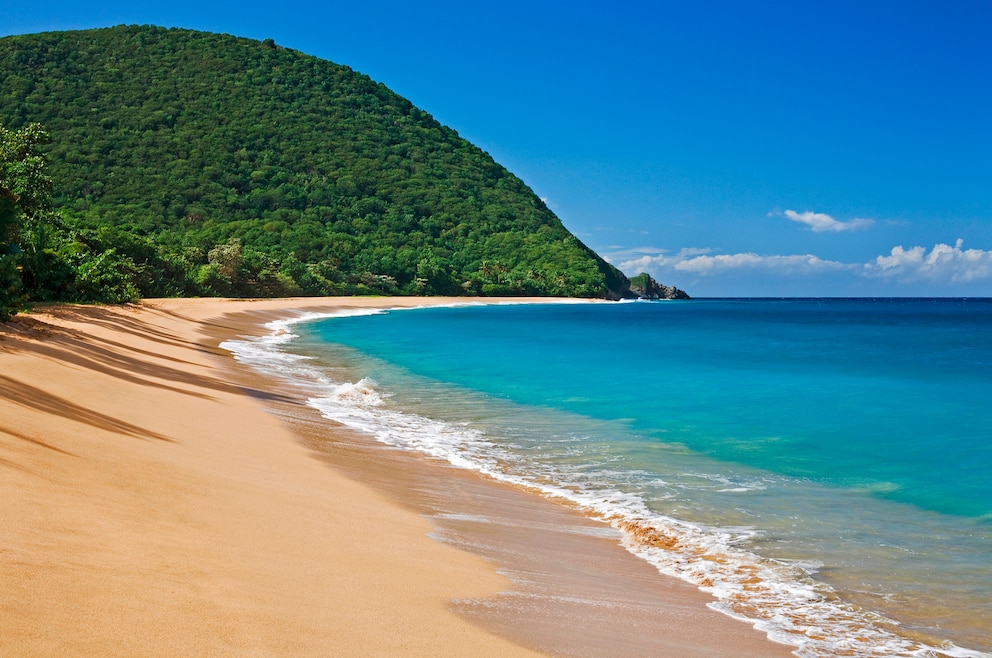 Plage de Grande Anse ist ein Strand auf Guadeloupe