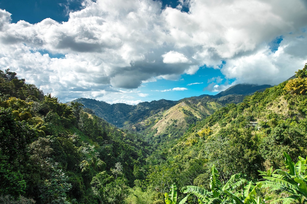 Die Blue Mountains sind eine jamaikanische Bergregion