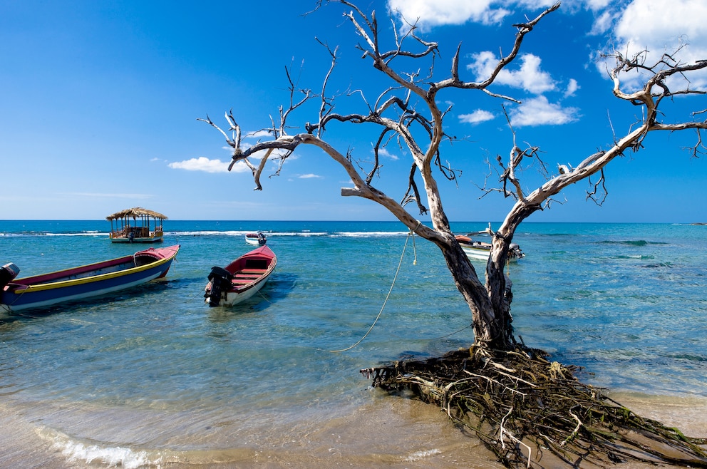 Treasure Beach ist ein Ort im Südwesten Jamaikas