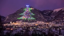 Der mit tausenden bunten Lichtern geschmückte Riesenbaum steht seit 1991 im Guinness-Buch der Rekorde als der größte Weihnachtsbaum der Welt