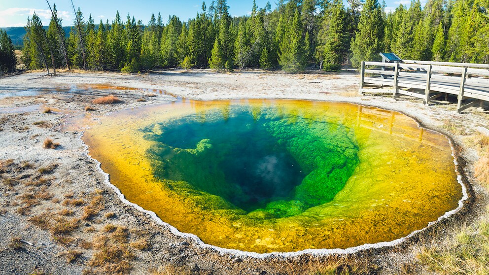 Einmalige Schönheit: Der Morning Glory Pool im Yellowstone-Nationalpark. Doch das Naturwunder ist akut bedroht.