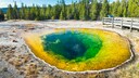 Einmalige Schönheit: Der Morning Glory Pool im Yellowstone-Nationalpark. Doch das Naturwunder ist akut bedroht.