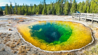 Einmalige Schönheit: Der Morning Glory Pool im Yellowstone-Nationalpark. Doch das Naturwunder ist akut bedroht.