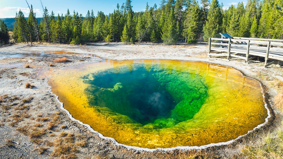 Einmalige Schönheit: Der Morning Glory Pool im Yellowstone-Nationalpark. Doch das Naturwunder ist akut bedroht.