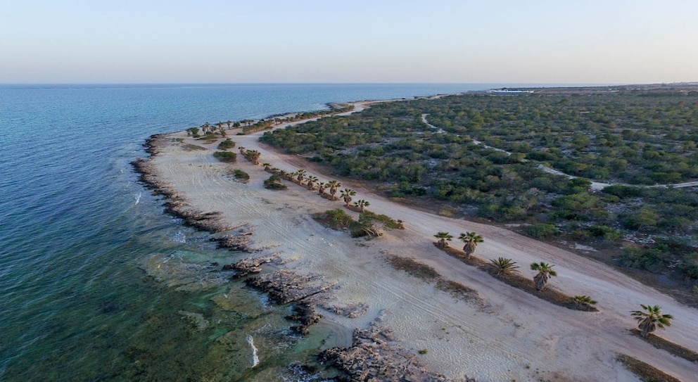 Liopetri Beach is located in the village of the same name and is our hidden gem among Cyprus's beaches