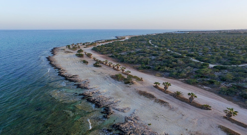 Der Lipetri Beach befindet sch im gleichnamigen Dorf und ist unser Geheimtipp unter den Stränden Zyperns