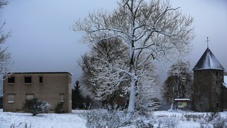 Wollseifen
