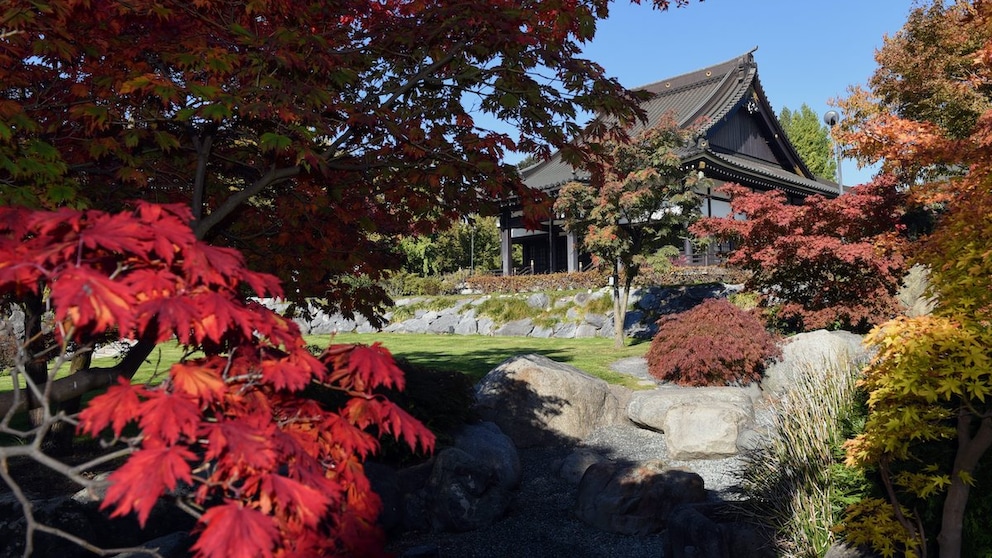 Japan? Nein, Düsseldorf! So idyllisch präsentiert sich der Tempelpark rund um das Ekō-Haus der Japanischen Kultur im Stadtteil Niederkassel