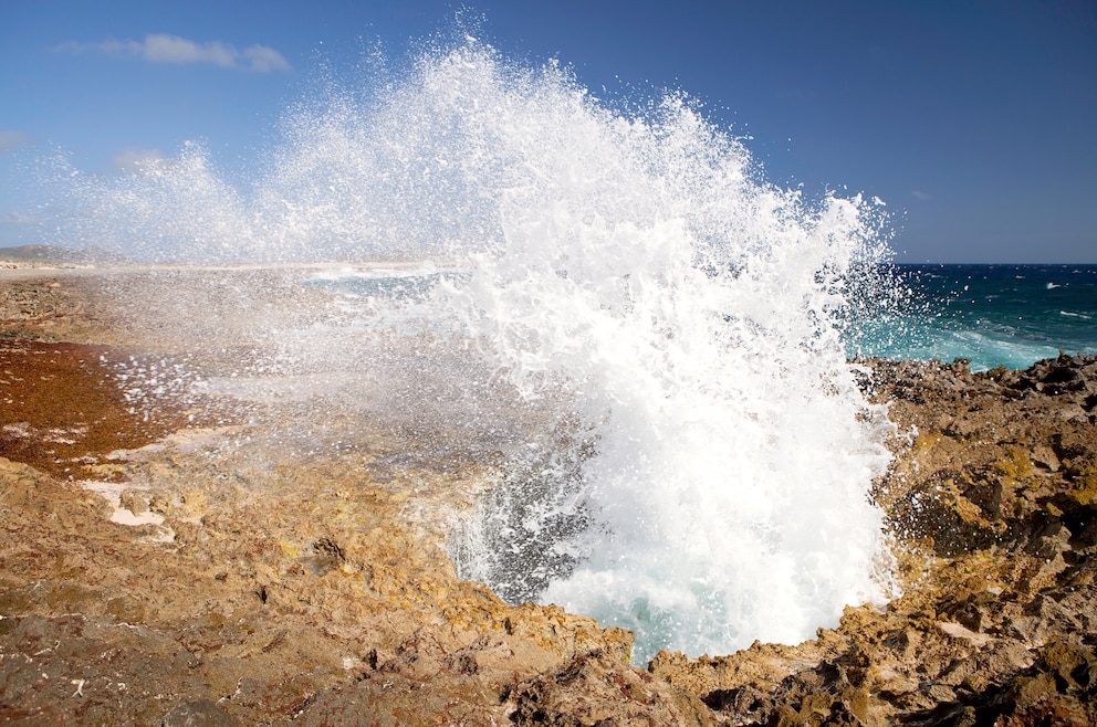 Blow hole auf Bonaire