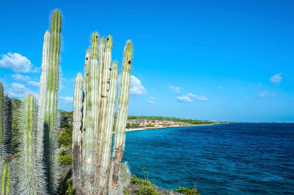 Der Washington-Slagbaai-Nationalpark auf Bonaire