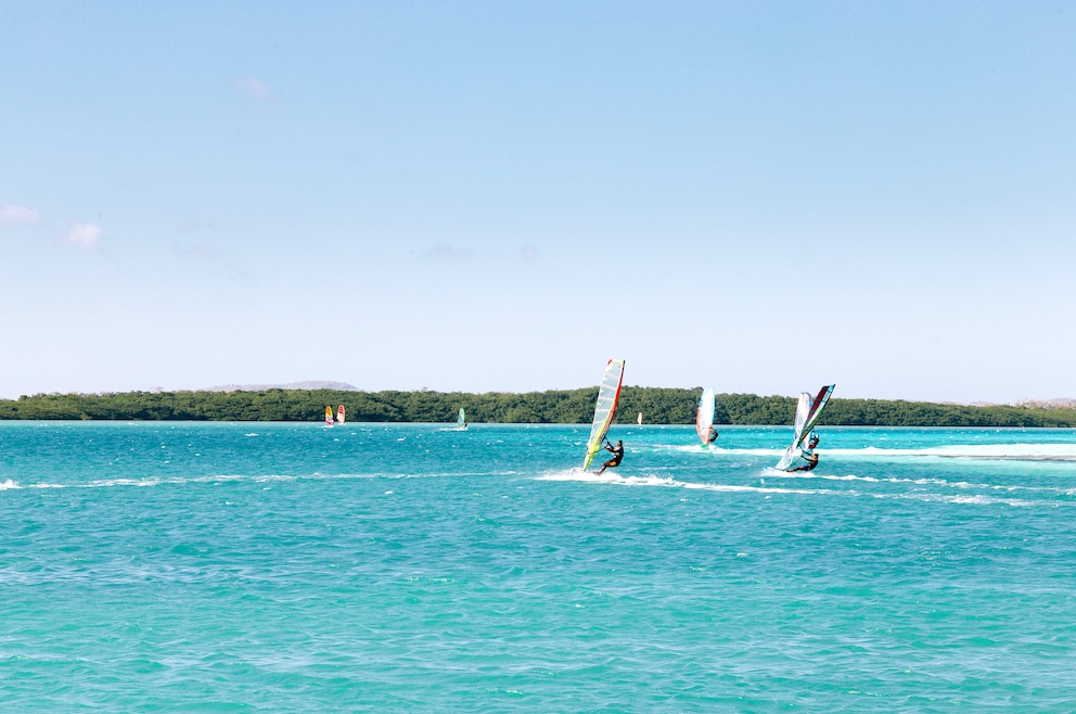 Windsurfer auf Bonaire