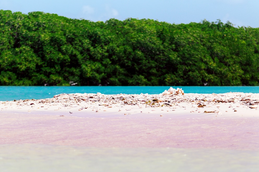 Pink Beach auf Bonaire