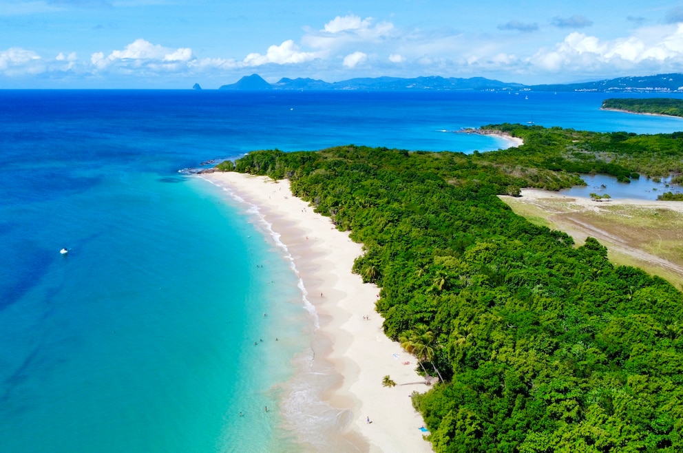 Grande Plage des Salines auf Martinique