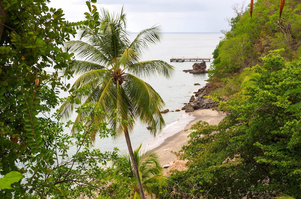 Der Strand Anse Chastanet Beach auf St. Lucia