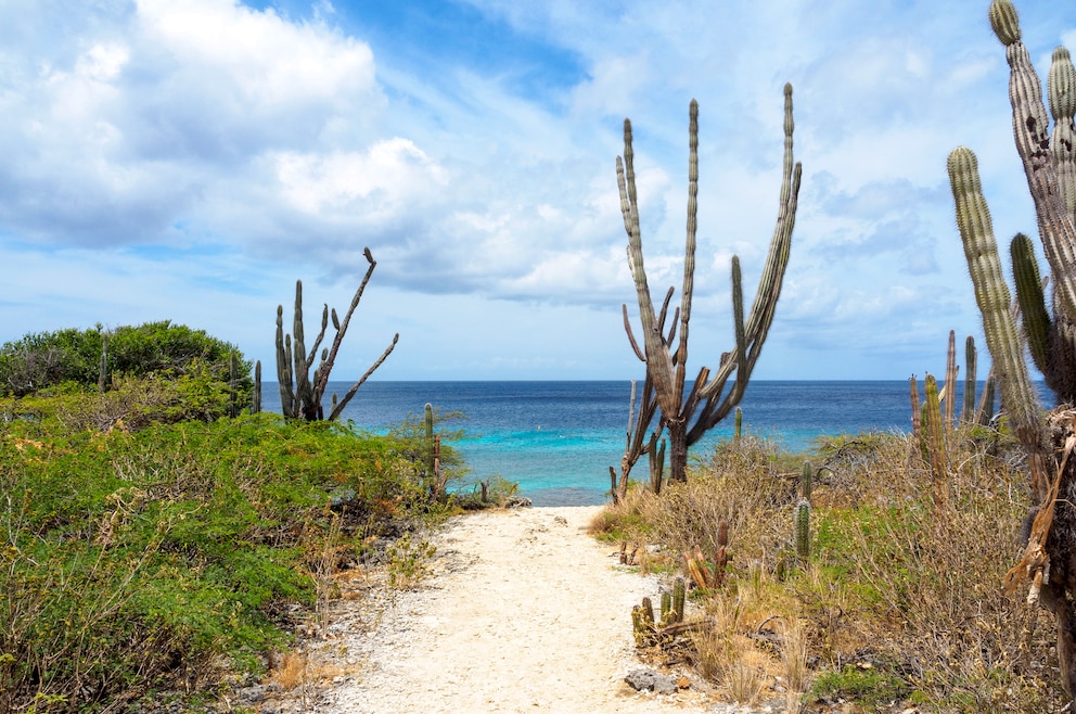 Washington-Slagbaai-Nationalpark auf Bonaire