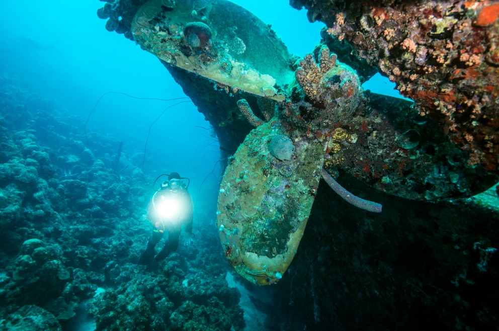 Schiffswracks des Schmugglerschiffes Hilma Hooker