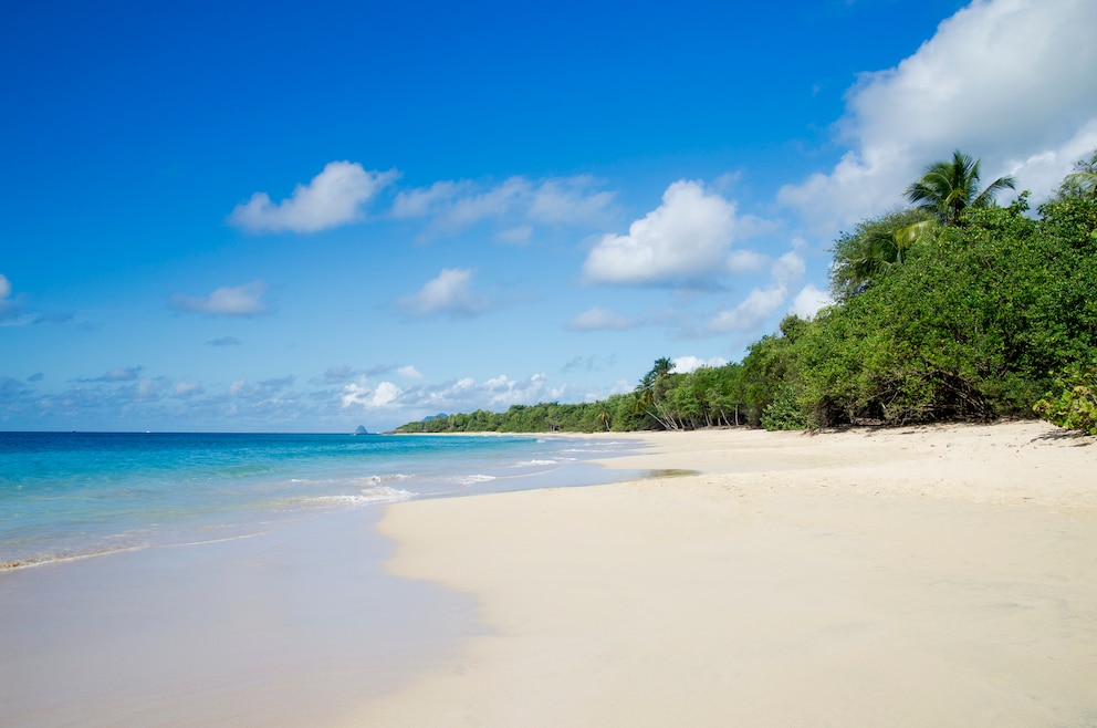 Strand auf Martinique