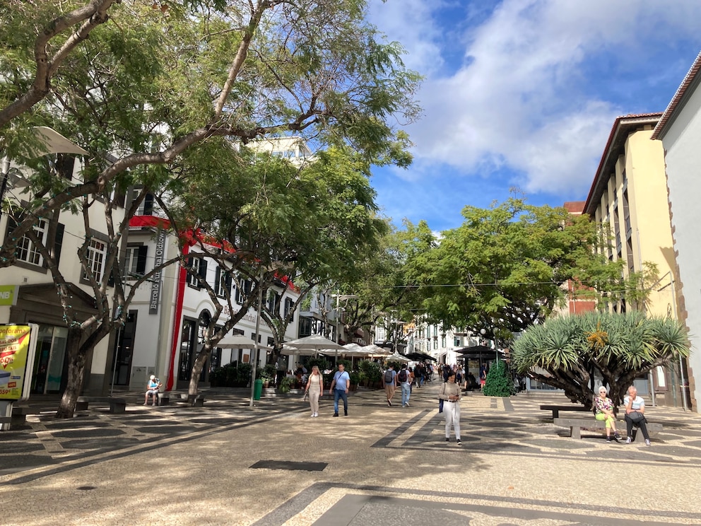 Rua Dr. António José de Almeida in Funchal