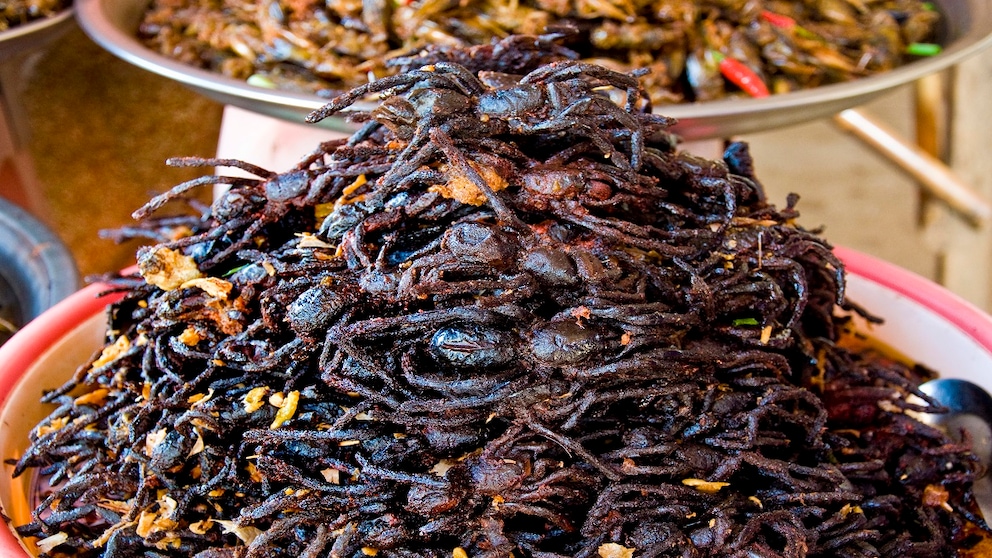 Insektenmarkt Skun
