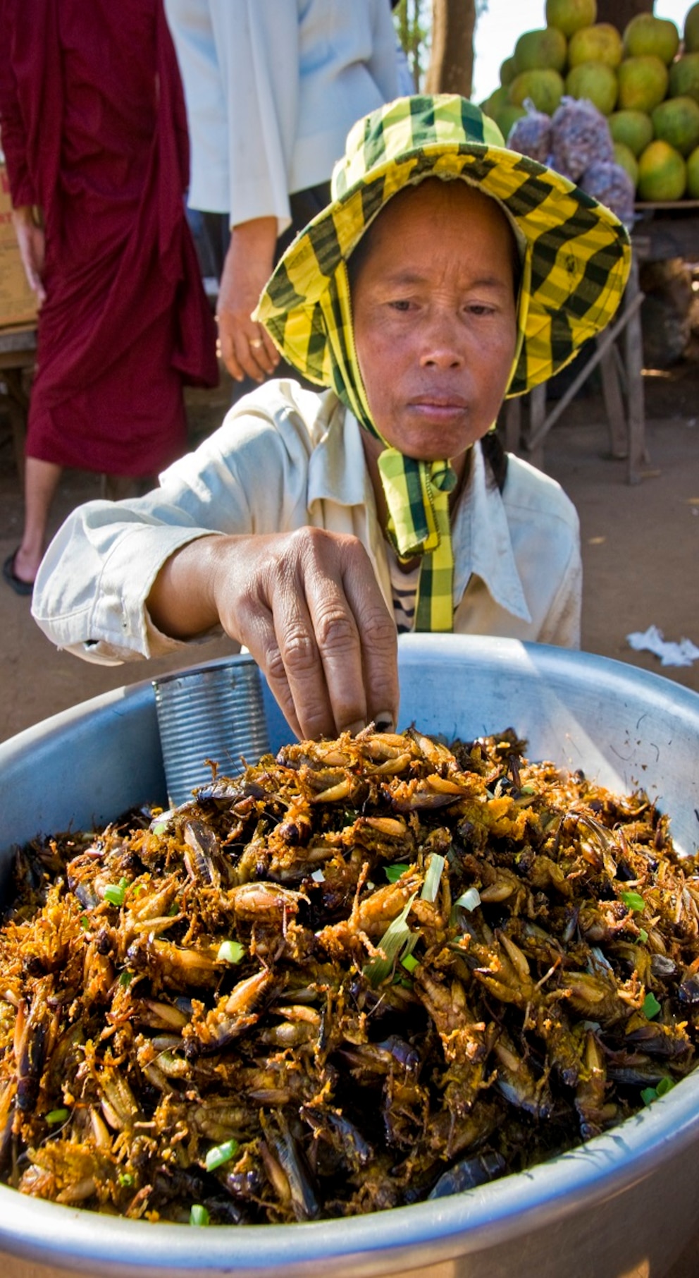 Insektenmarkt Skun