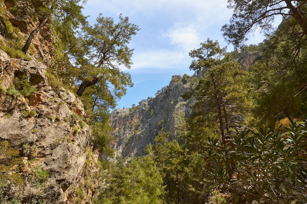 Die Agia-Irini-Schlucht verspricht Natur und Ruhe pur