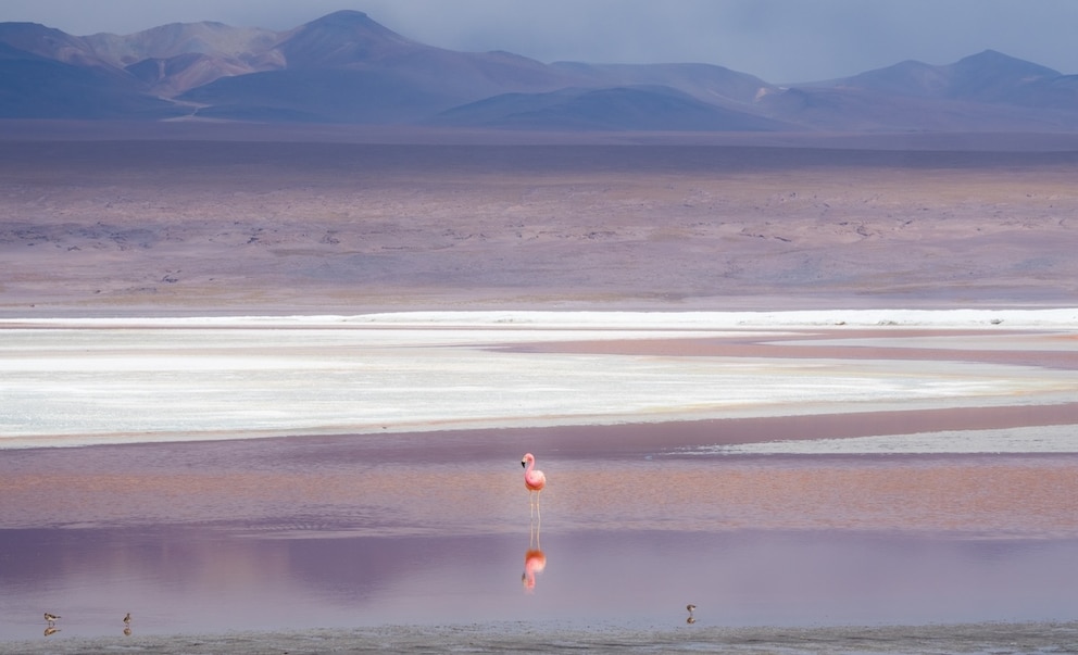 Marharloo Lake