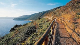 Eine der neuen Wanderrouten befindet sich nahe des Dorfes Manarola, im italienischen Cinque Terre