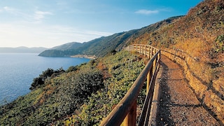 Eine der neuen Wanderrouten befindet sich nahe des Dorfes Manarola, im italienischen Cinque Terre