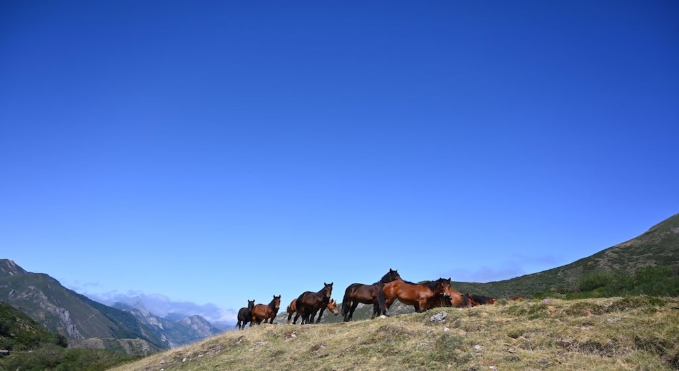 Der Naturpark Somiedo in Galizien ist ein wunderschönes Reiseziel für einen Urlaub im März