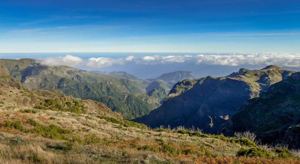 Der März schafft auf Madeira die besten Voraussetzungen für einen Urlaub im März