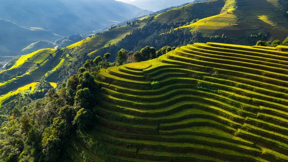 Abwechslungsreicher Urlaub in Vietnam. Foto: Shutterstock