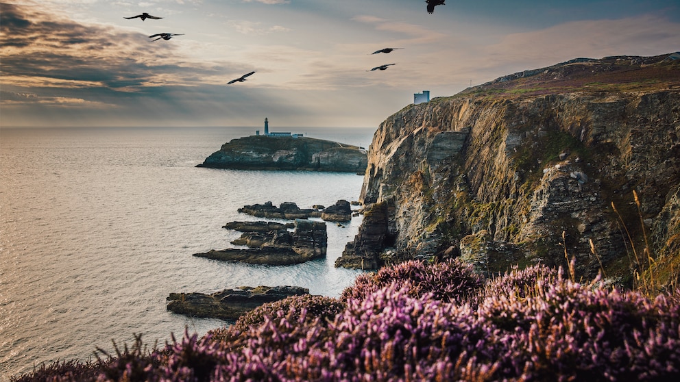 South Stack Leuchtturm, Insel Anglesey, Nordwales