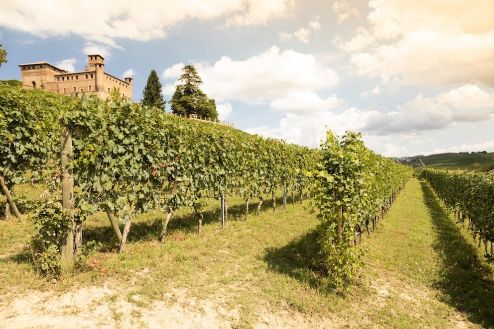 Langhe Burg von Grinzane Cavour