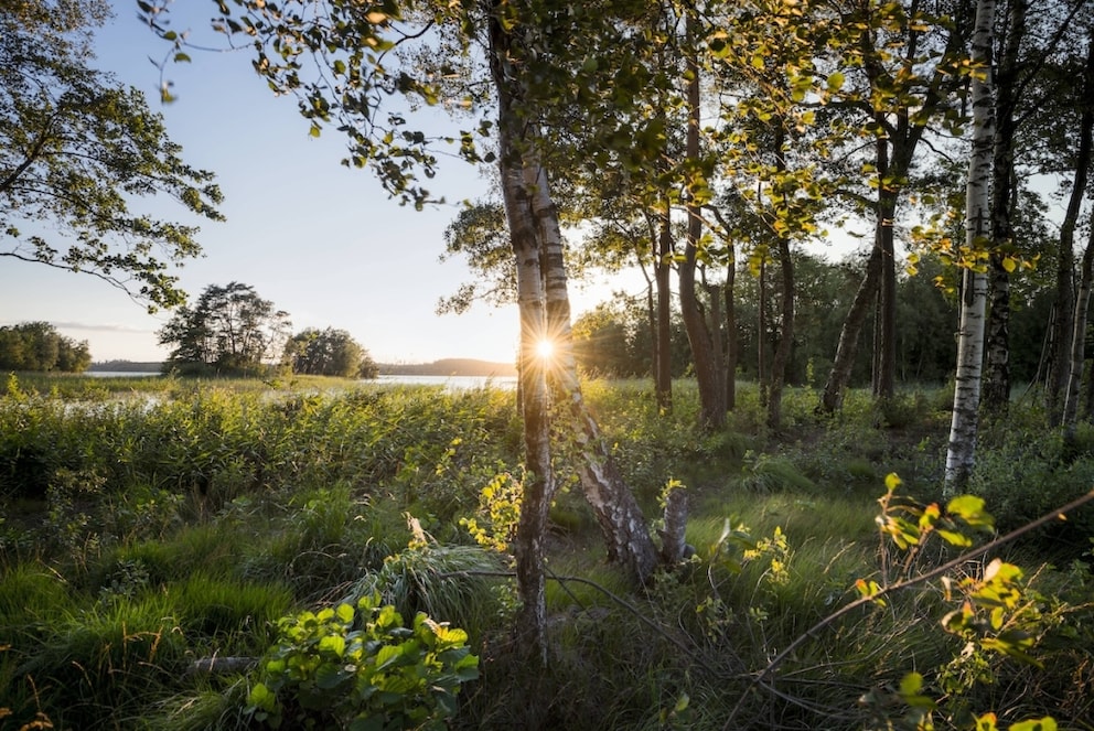 Bolmensee Schweden