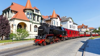 Der Dampfzug „Molli" der Bäderbahn fährt durch Bad Doberan