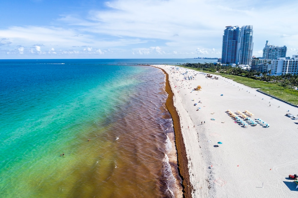 „Rote Flut“, Florida