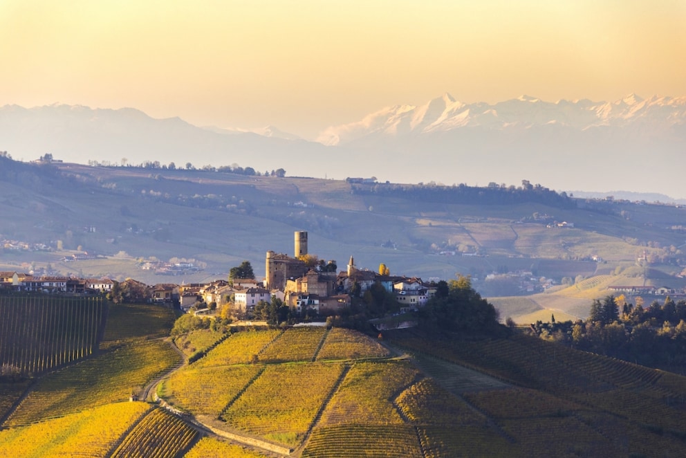 Langhe, Castiglione Falletto