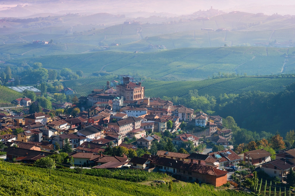 Barolo