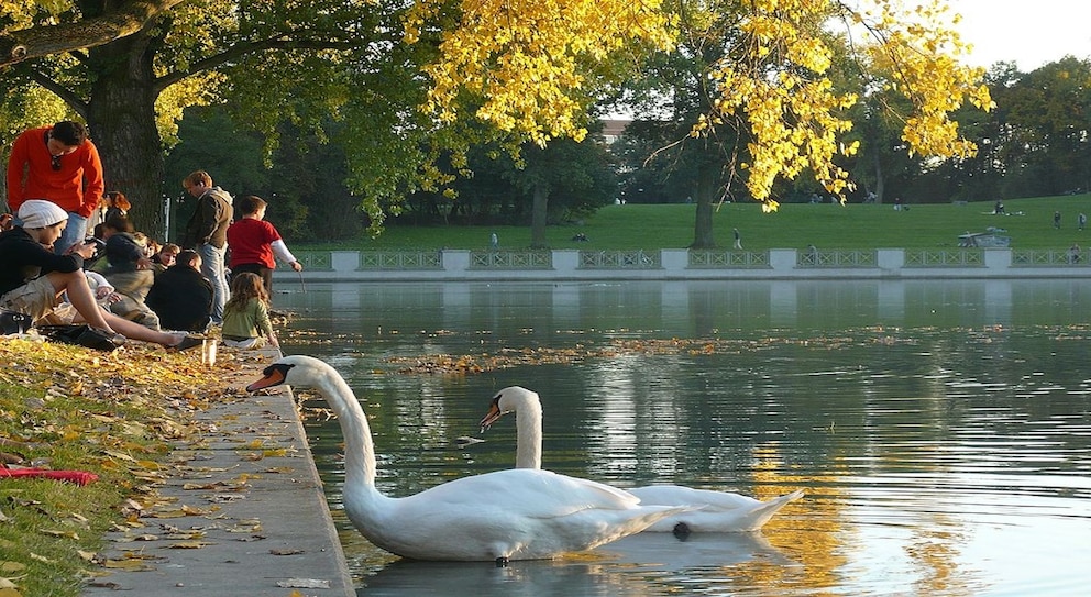 Vor allem in den Sommermonaten ist der Aachener Weiher ein beliebter Treffpunkt in Köln