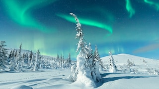 Polarlichter Lappland