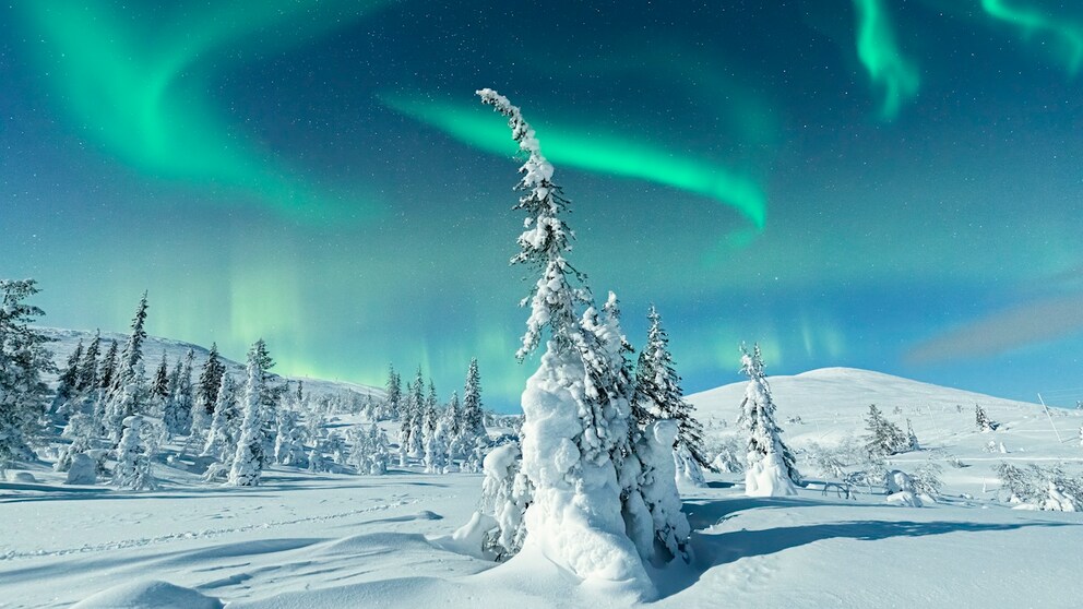 Polarlichter Lappland