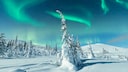 Polarlichter Lappland