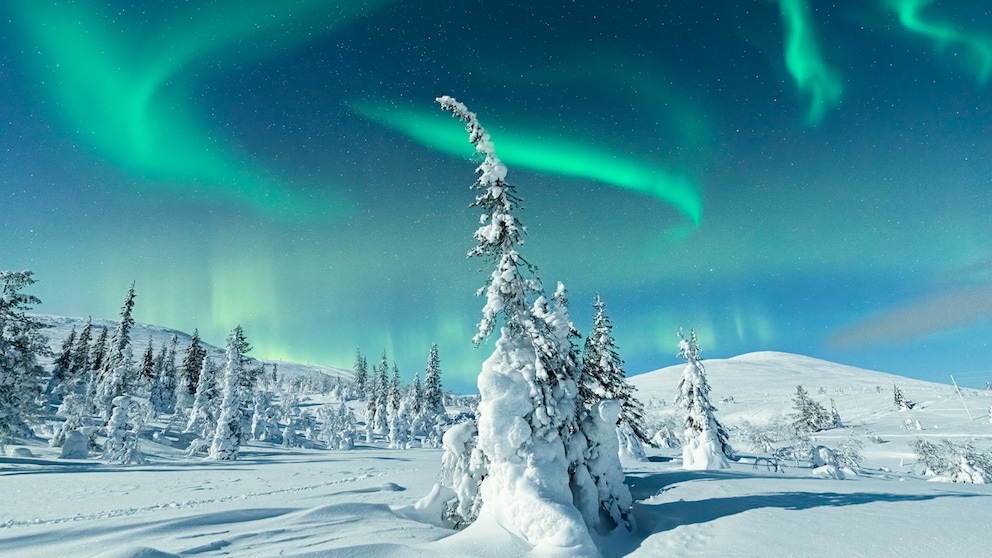 Polarlichter Lappland