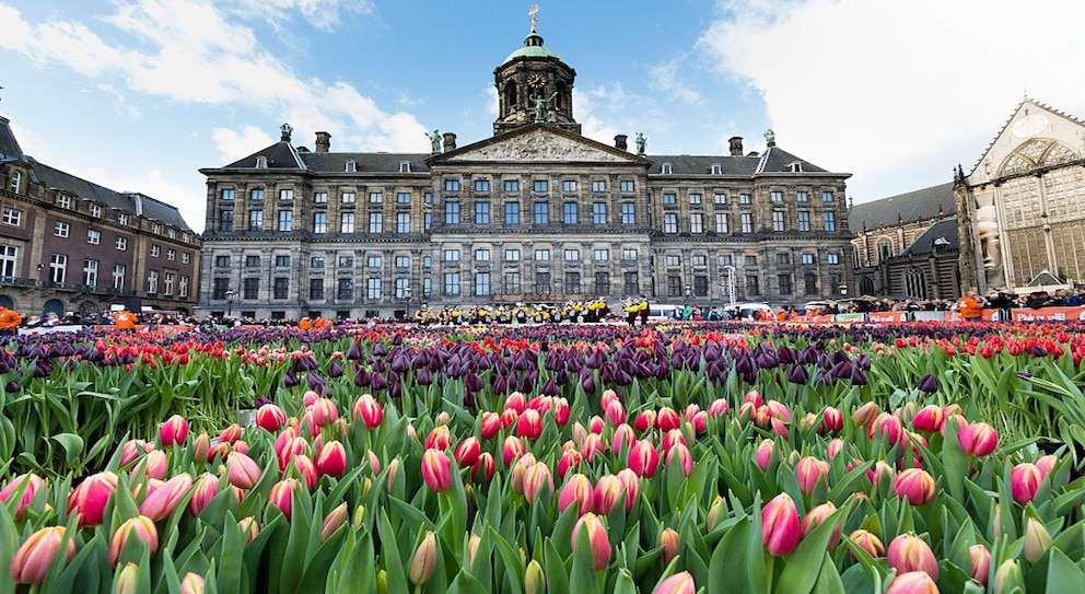 Wegen der Tulpen eignet sich Amsterdam perfekt als Reiseziel für einen Urlaub im April